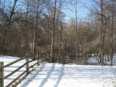 2nd image of 8496 Landseer Dr