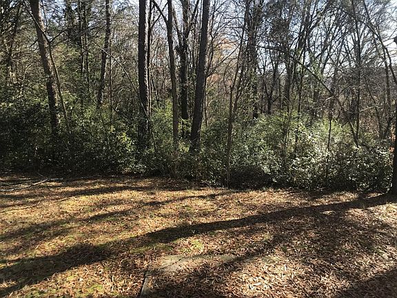 Backyard view off of kitchen