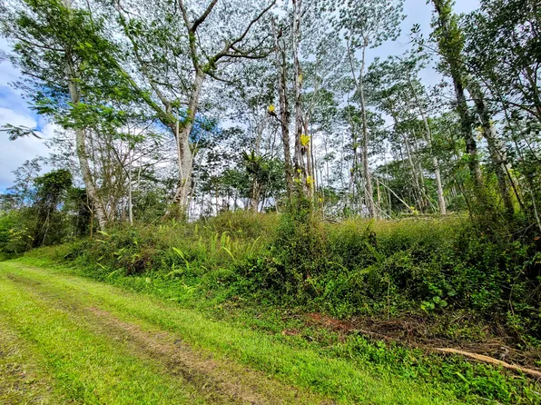 Kahoolawe Rd Lot 671, Pahoa, HI 96778