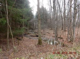 Creek Rd, Andover, OH 44003