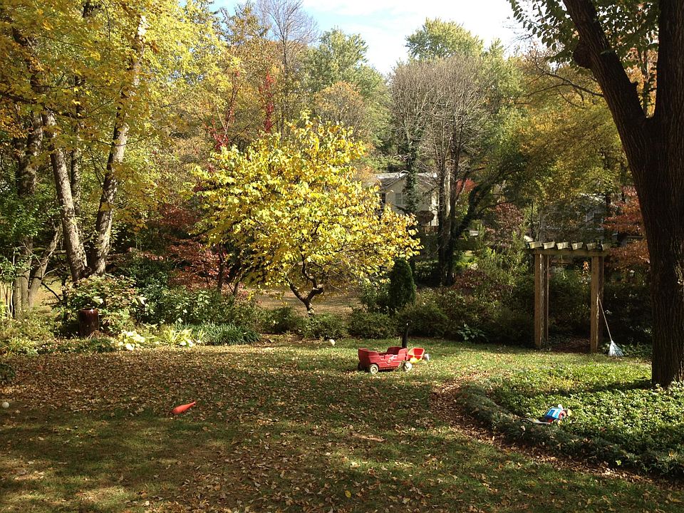 backyard in the fall