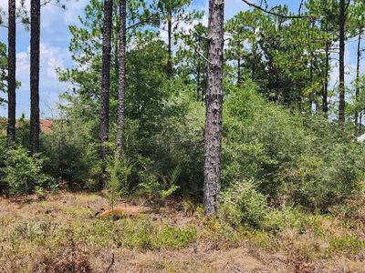 Xxx Caswell Rd, Defuniak Springs, FL, 32433