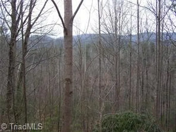 81 Deer Antler Dr, Purlear, NC 28665