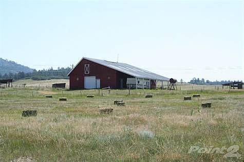 45 field with hay bales