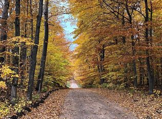 N Ayr Rd, Pellston, MI 49769