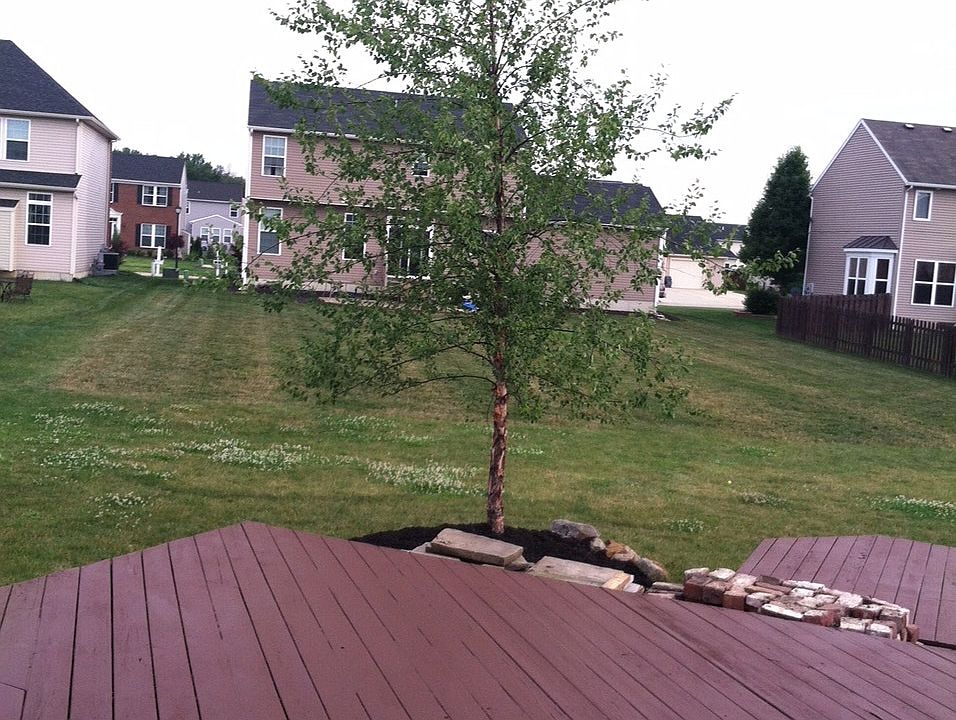2nd image of 8882 Jordan Ct