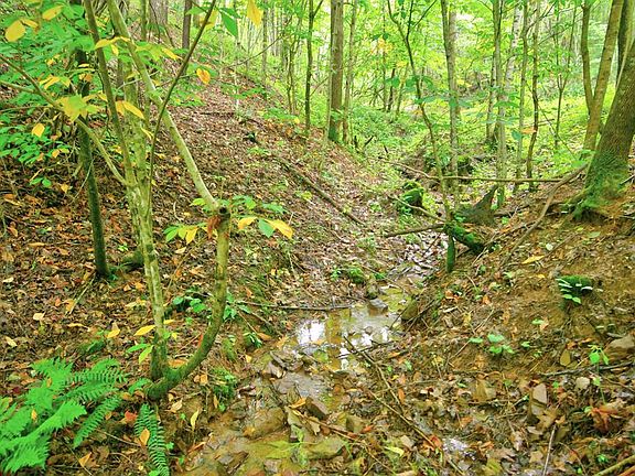 5th image of LOT 87 Goodpasture Hollow Rd