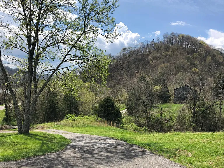 Driveway to the house