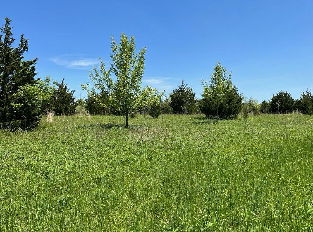 Real estate listing image