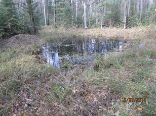 W13902 Cth J, Deerbrook, WI 54485