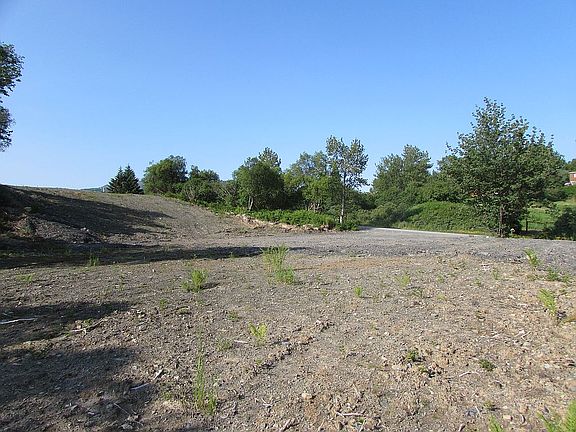 3rd image of 10651 Chiniak Dr
