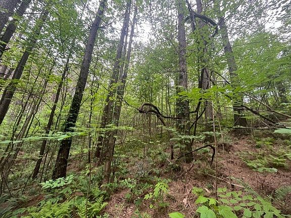 4th image of LOT 60 Cartecay View Ln