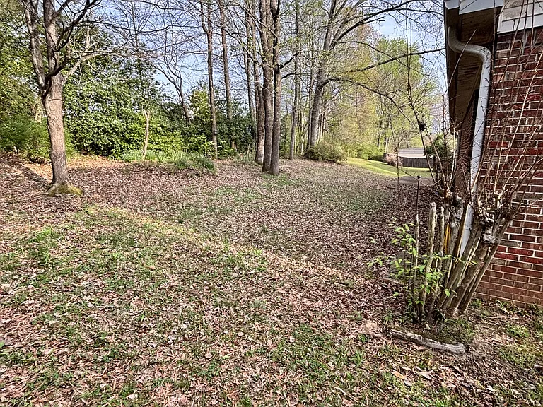 Side Yard