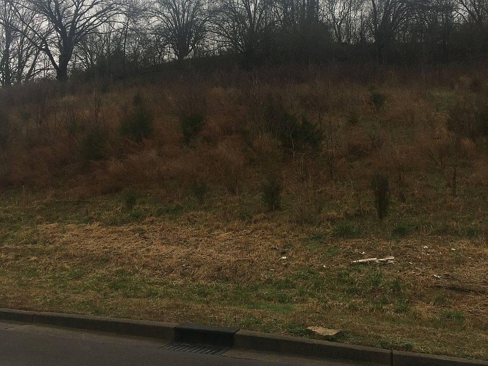 2nd image of 3008 Strickland Dr