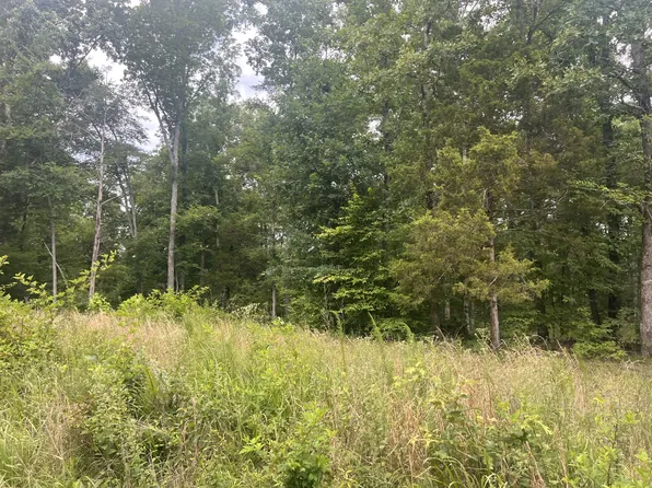 5 Toms Creek Rd, Linden, TN 37096