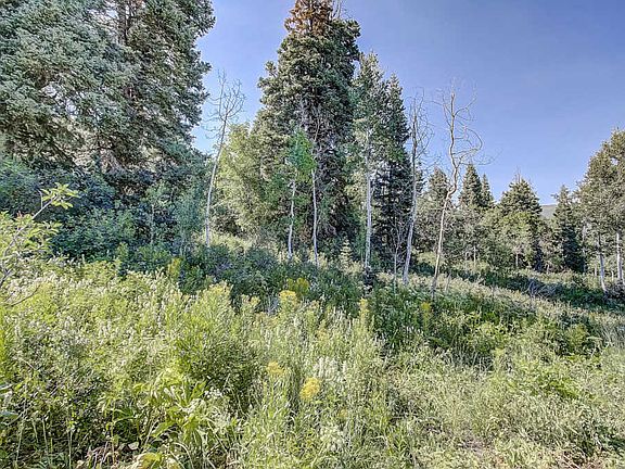 4th image of 530 W Forgotten Ln