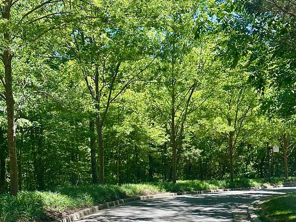 4th image of 1011 Champion Hills Dr Lot 56