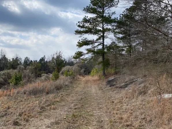 0 State Highway 26, Ragland, AL 35131