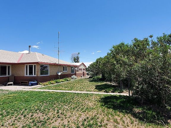 Lilac bushes on south end