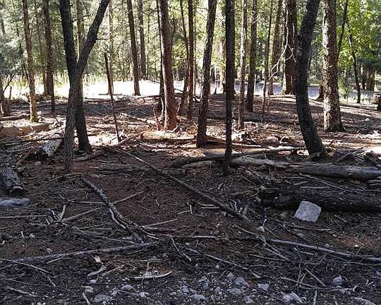 4th image of Heather Way