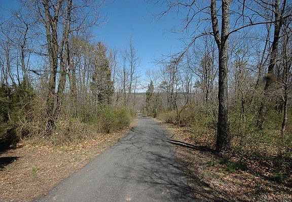 Long winding Driveway