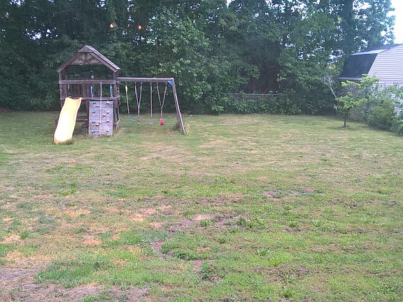 back yard
