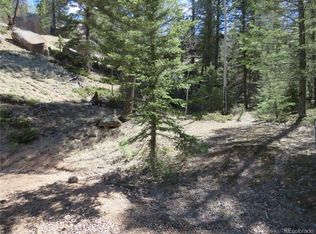 52 Warrior Cir, Florissant, CO 80816