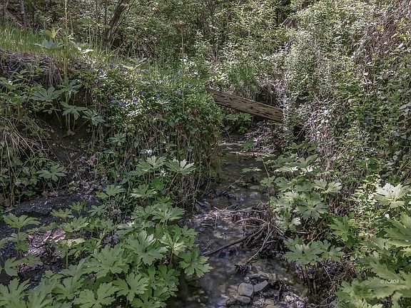 3rd image of 720 Pelletreau Ridge Rd
