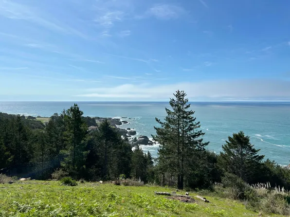 124 Eel Ct, Whitethorn, CA 95589