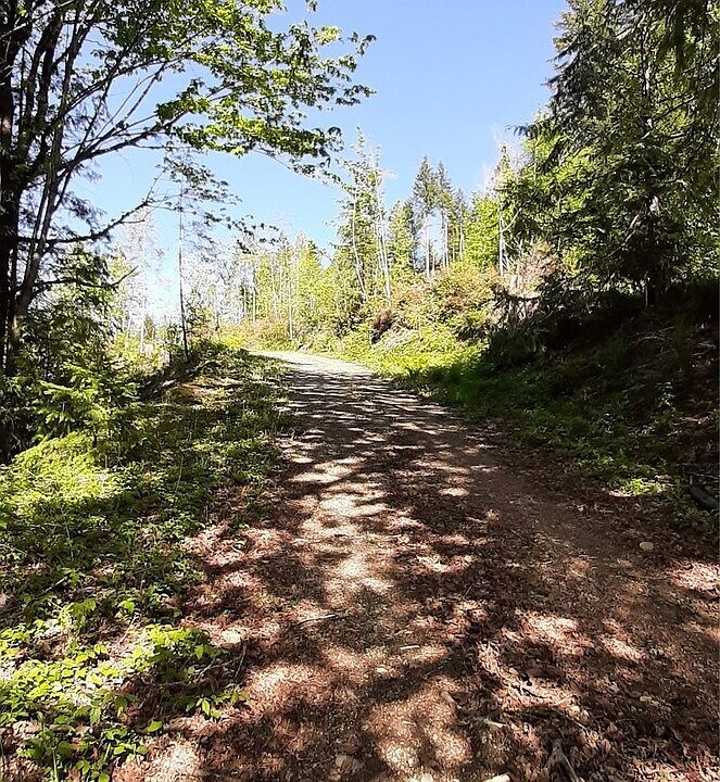 2nd image of 101 NE WJ Way
