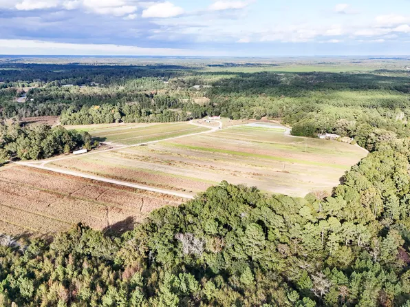 0 Chavis Rd, Blackville, SC 29817