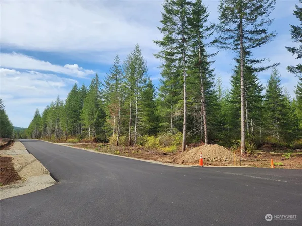 0 Lot 1 Div 1 Raven Lane, Elma, WA 98541