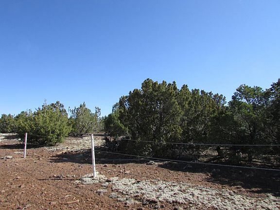 2nd image of 10443 N Covey Ln