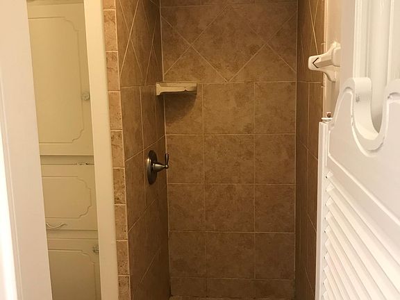 Shower in hall bath