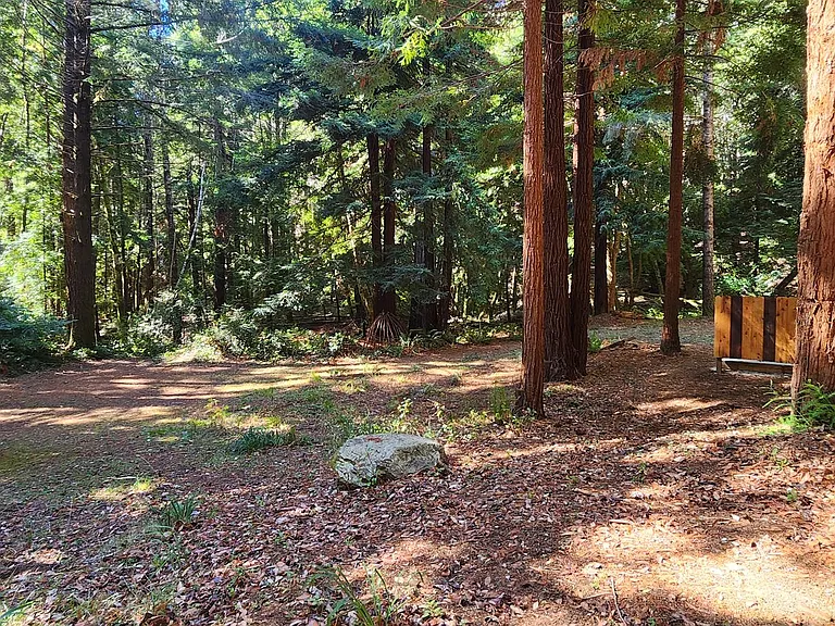 19901 Briceland Rd — Photo 27