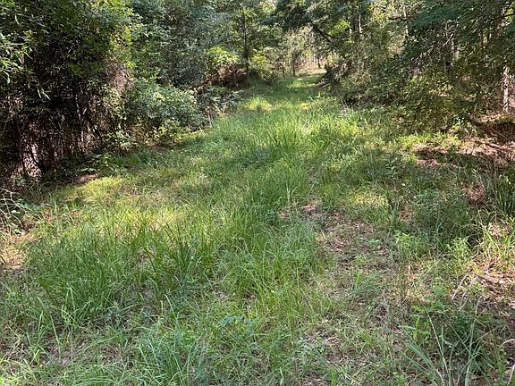 5th image of Vine Hollow Rd