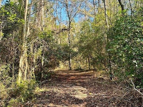 2nd image of 0 Branson Dr N