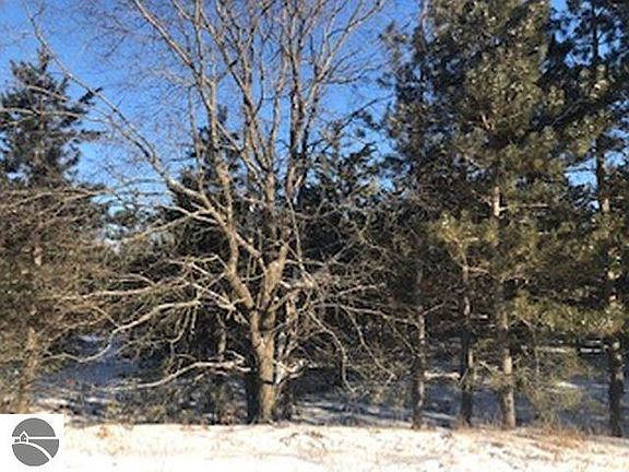 5th image of 11908 Country Acres Dr
