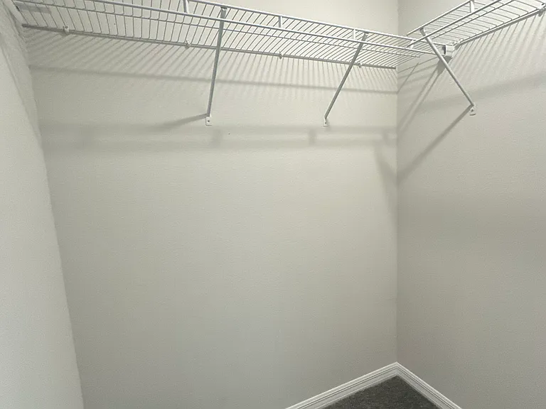 Master Walk-in closet
