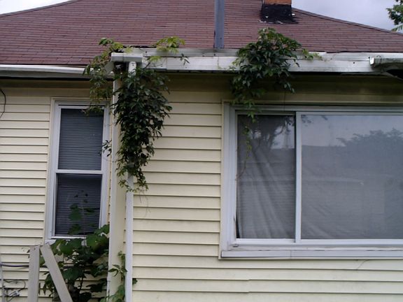 2nd image of 501 N Marion St