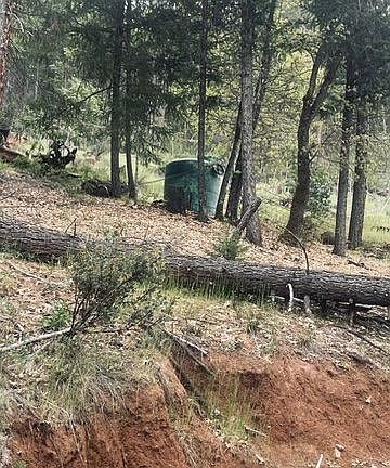 4th image of 401 Vitzthum Gulch Rd