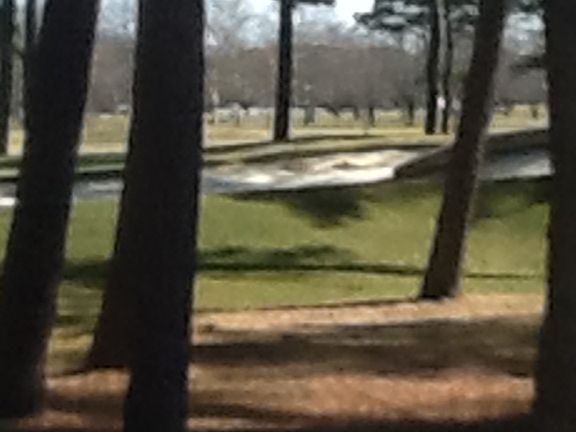 4th image of 62 W Side Dr