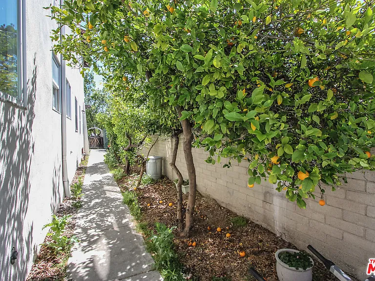 223 N Cordova St #1 — Photo 23