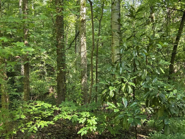 1898 Wood Valley Rd, Macon, GA 31211
