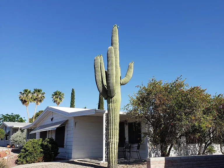 130 W Olive Dr — Photo 1