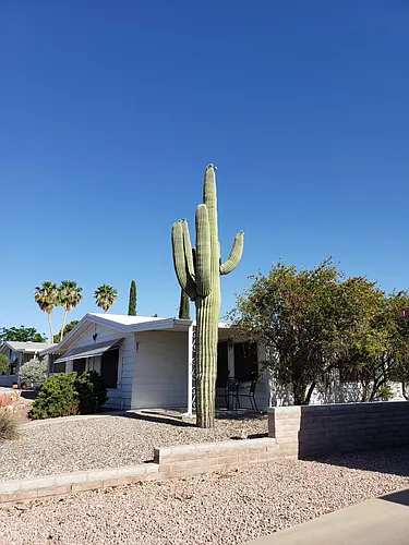 130 W Olive Dr Photo 1