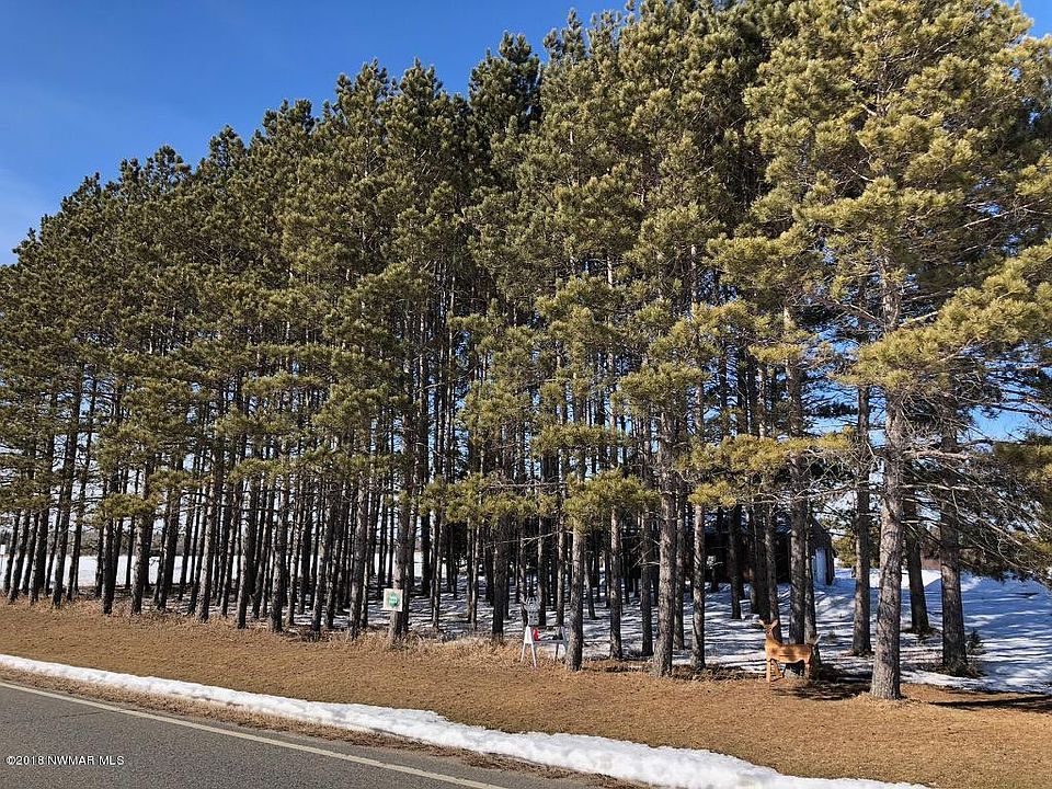 11593 County Road 36, Mizpah, MN 56660 | Zillow
