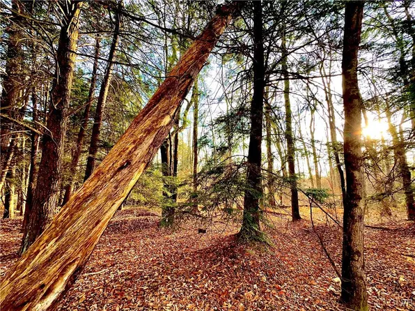 A69 State Route 534 & Lennox Ave, Albrightsville, PA 18210