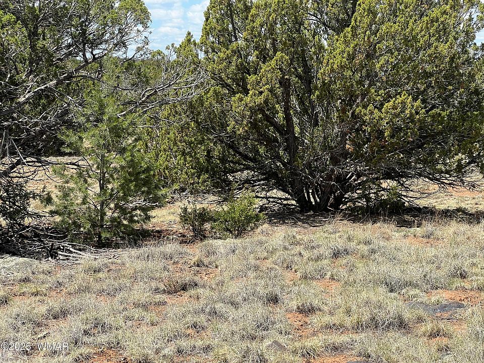 2nd image of County Road 8309