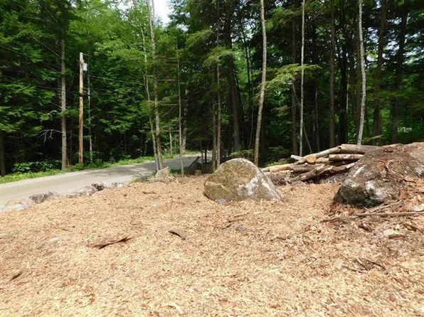 0 Bog Road #75, Hillsborough, NH 03244